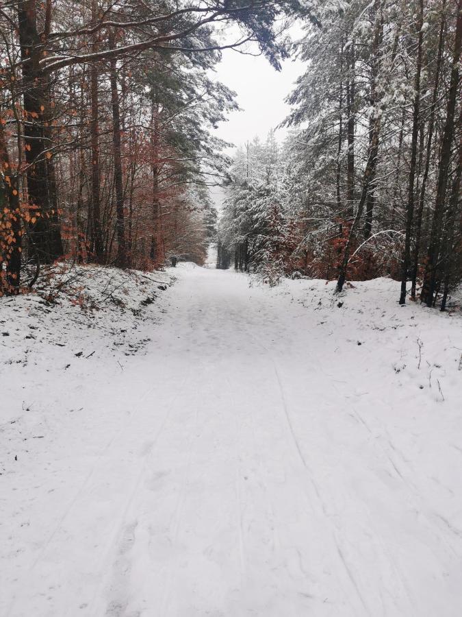 Kaszuby W Ostoja Bukowo - U Malgoski Domek 6 Z Widokiem Na Las I Internetem Villa Borowy Mlyn Exterior photo