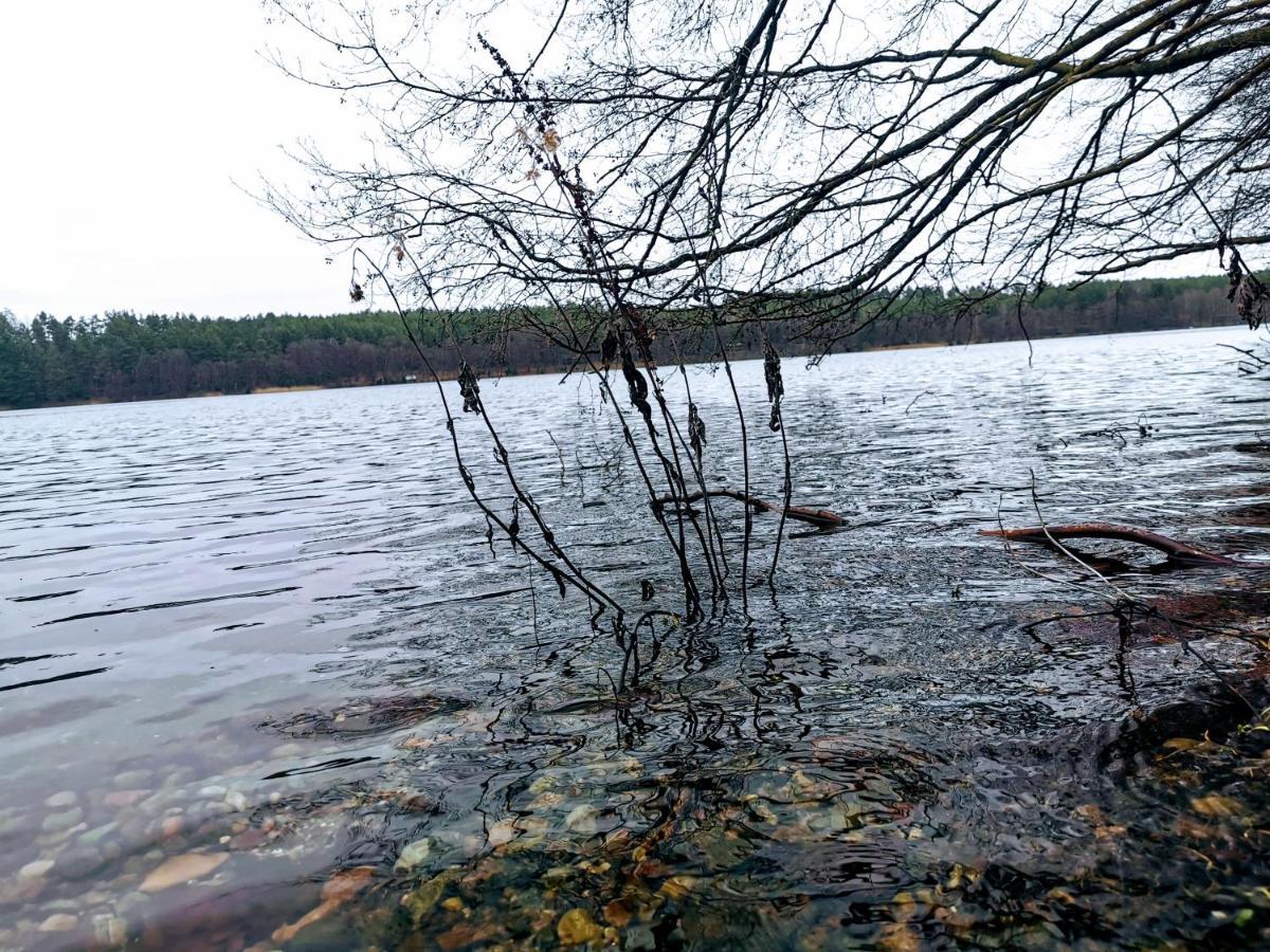 Kaszuby W Ostoja Bukowo - U Malgoski Domek 6 Z Widokiem Na Las I Internetem Villa Borowy Mlyn Exterior photo